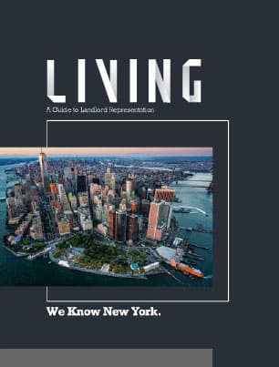 New York market guide